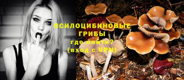 мяу мяу кристалл Нягань