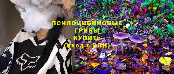 шишки Гусиноозёрск