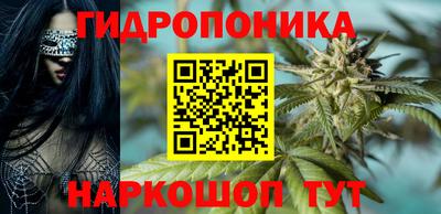 прущие крисы Заводоуковск