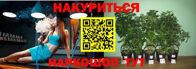 стафф Можга