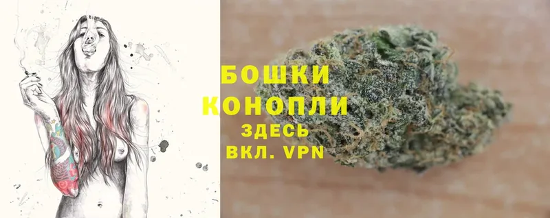 дарнет шоп  Красноармейск  Марихуана SATIVA & INDICA 