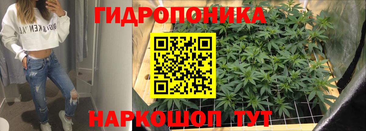 Каннабис план Красноармейск